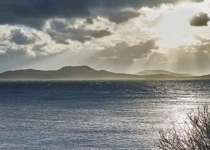 The Coast Bill&coo-the Leading Of The World (adults Only)